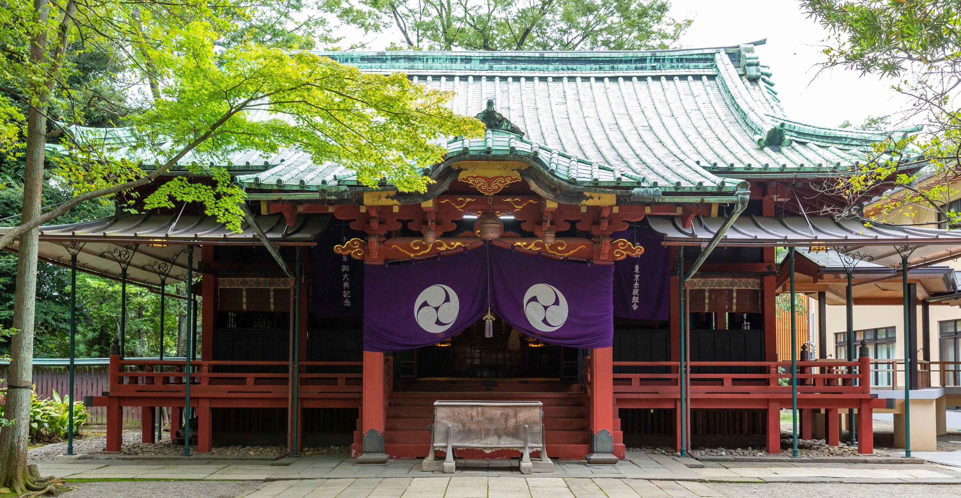 main_picture
