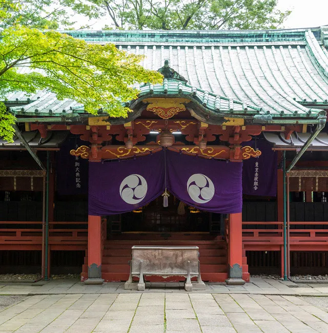 main_picture