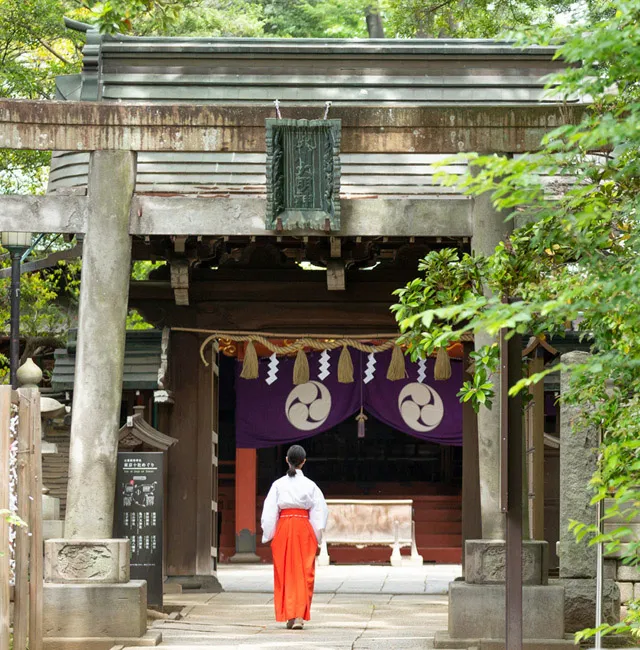 main_picture