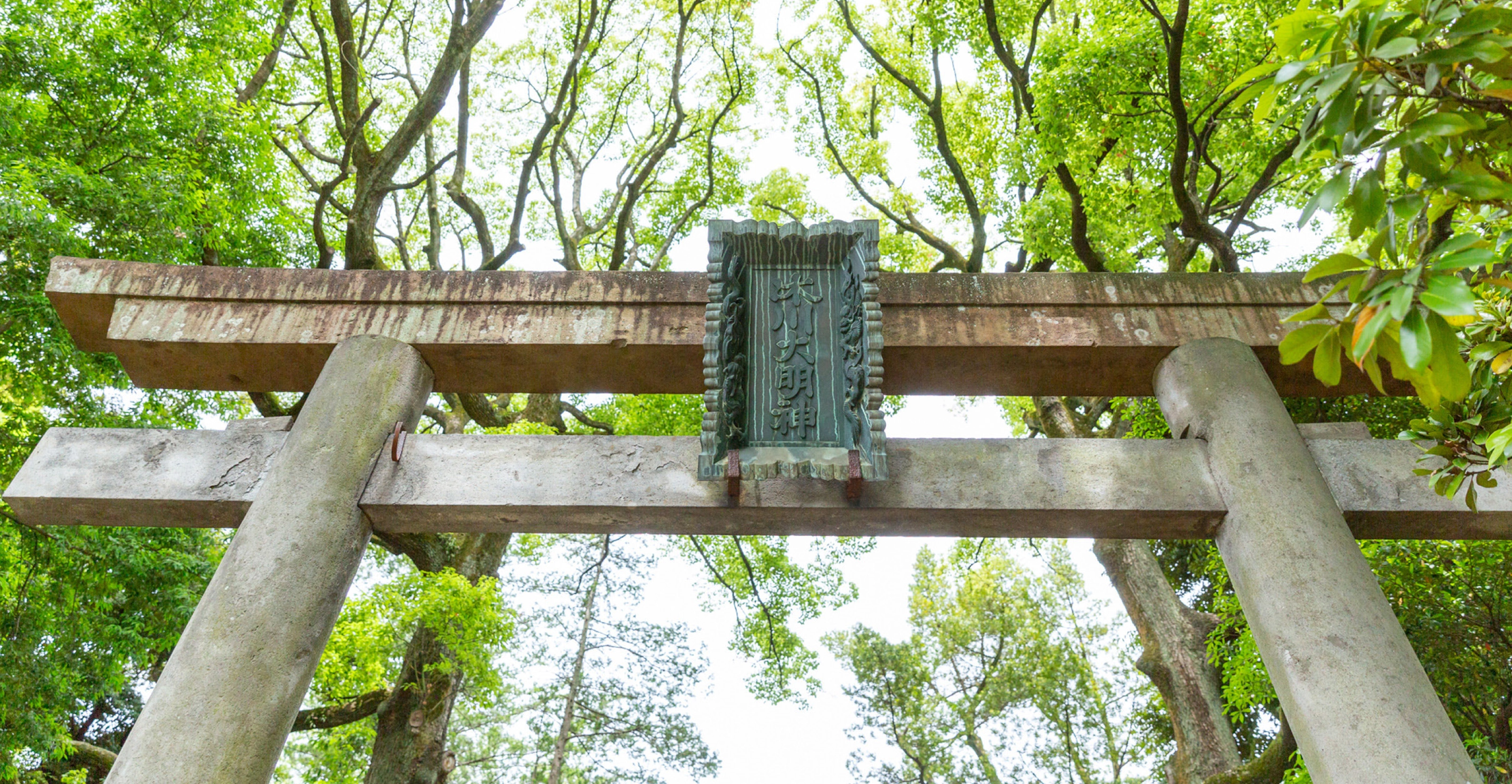 main_picture