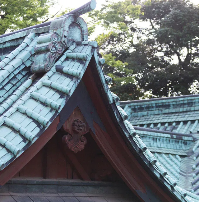 main_picture