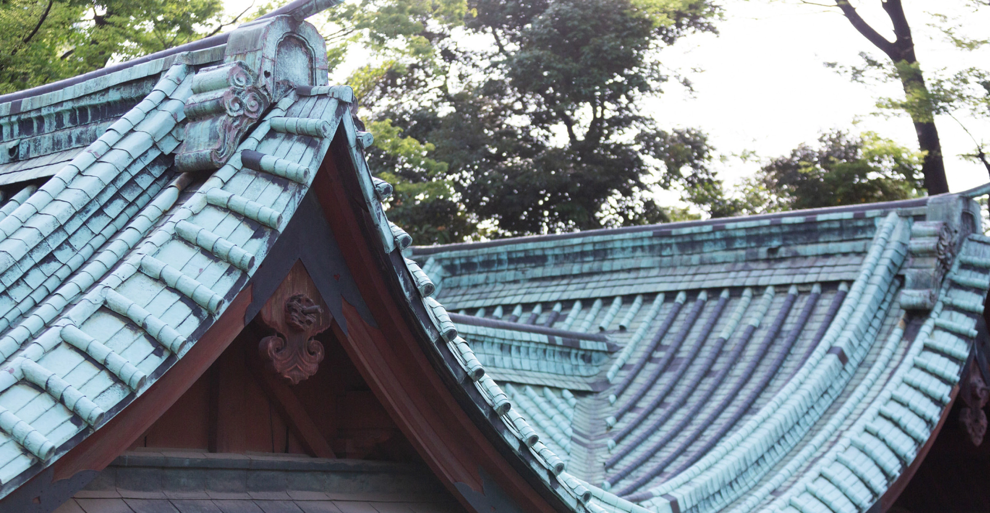 main_picture